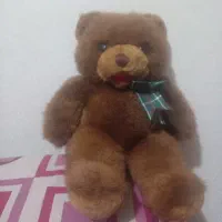 خرس قهوه ای