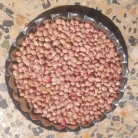 یک گونی لوبیا چیتی دینارون درجه یک