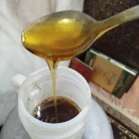 عسل طبیعی ترنجبین