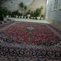 فروش یک جفت قالی دستباف نجف آبادی|فرش|شیراز, شهرک گلستان|دیوار