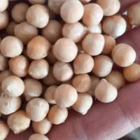 نخود لوبیا عدس سویا برنج چیتی ازبک عمده خورده