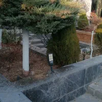 باغ بانی حرص کاری قاچ کشی