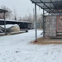 قالیشویی پدیده