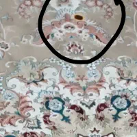 فرش 500شانه و یه عدد کناره|فرش|مشهد, شهید معقول|دیوار