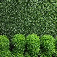 استخدام نیرو کار اقا جوان