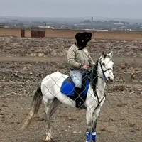 نریان ترکمن ۵سال