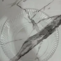 پلوخوری