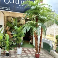 تولید درخت نخل مصنوعی|گل مصنوعی|لنگرود, |دیوار