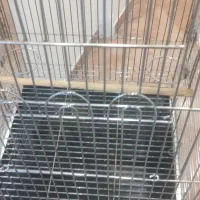 قفس پرنده|لوازم جانبی حیوانات|اندیشه, اندیشه فاز ۵|دیوار