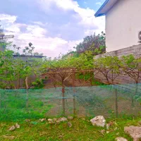 فروش زمین در هشتپر