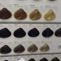 رنگ موی بلگا ۱۰۰ میل ۶۵۰۰۰ تومان|آرایشی، بهداشتی، درمانی|سبزوار, چهارراه فرودگاه|دیوار