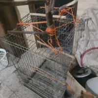 قفس بزرگ طوطی ارا یا جفت کاسکو|لوازم جانبی حیوانات|بندرعباس, |دیوار