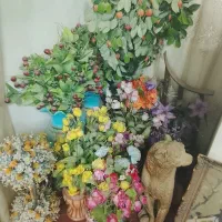 تعدادی گل و گلدان مصنوعی نو|گل مصنوعی|زاهدان, |دیوار