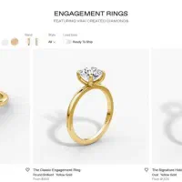 طراحی سایت حرفه‌ای طلا و جواهرات|خدمات رایانه‌ای و موبایل|تهران, کوی بیمه|دیوار