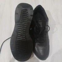 فروش کفش کتونی ecco