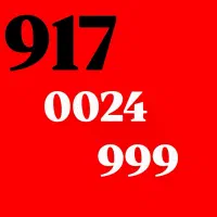 0917.0024.999