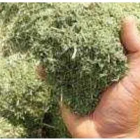 فروش کاه ویونجه