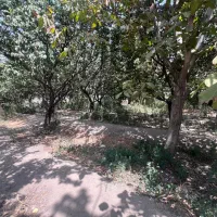 خرید-وفروش-ملک-کاسبی-وسرمایه-گذاری