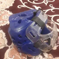 هوگو و کلاه تکواندو