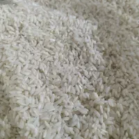 برنج تازه دشت دلنجان