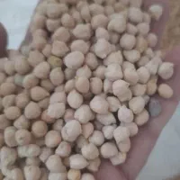 نخود محلی ریز خوشپخت و بدون نپزو عمده و خرده