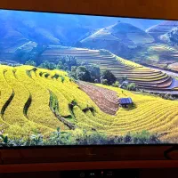 تلویزیون پیشرفته سونی اصلی ۸۵ اینچ با گارانتی 4k