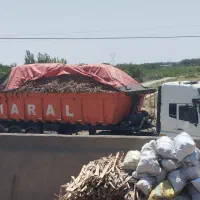 کارگاه خرد کنی چوب