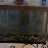 شیشه آکواریوم