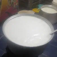 پنیر گاومیش