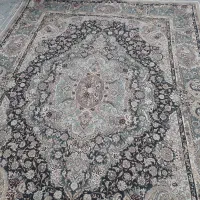 روفرشی ۶متری|روفرشی|تربتحیدریه, فرمانداری|دیوار