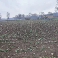 زمین نزدیک آب بندان