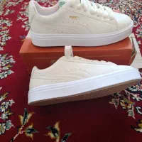 کفش|کیف، کفش، کمربند|نهبندان, |دیوار