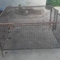 قفس مرغ و پرنده
