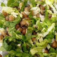 فروش حلزون ۲ماهه