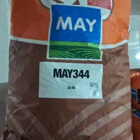 بذر پنبه مای