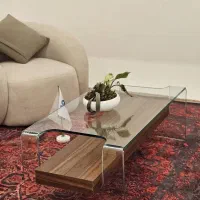 میز جلومبلی شیشه ای مدرن با شلف چوبی خاص - تولیدی|مبلمان خانگی و میز عسلی|تهران, شهرک استقلال|دیوار