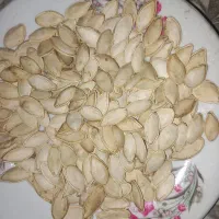 تخمه کدو گوشتی