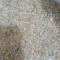 برنج|خوردنی و آشامیدنی|ایلام, |دیوار