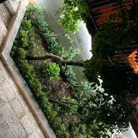 خدمات باغبانی
