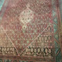 فرش دستبافت|فرش|زنجان, |دیوار