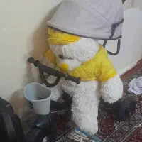 سه چرخه.