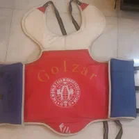 هوگو تکواندو