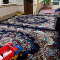 فرش|فرش|قم, شهر قائم|دیوار