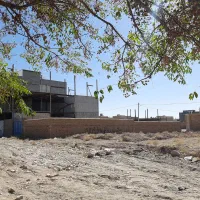 فروش نصف زمین حاشیه بلوار انقلاب|فروش زمین و ملک کلنگی|تربتحیدریه, شهرک ولیعصر|دیوار