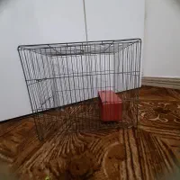 قفس پرنده|لوازم جانبی حیوانات|اهواز, کیانپارس |دیوار