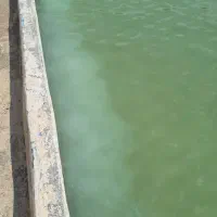 فعال در زمینه گلخانه