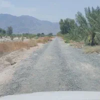 زمین کشاورزی