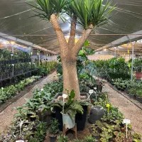 کارگر ساده گل فروشی ۱۵ تا ۲۰ سال با جای خواب|استخدام خدمات فروشگاه و رستوران|اصفهان, ارداجی|دیوار