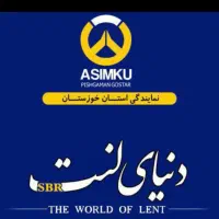 لنت تمامی خودروها