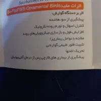 مکمل بیوپول|لوازم جانبی حیوانات|مسجد سلیمان, |دیوار